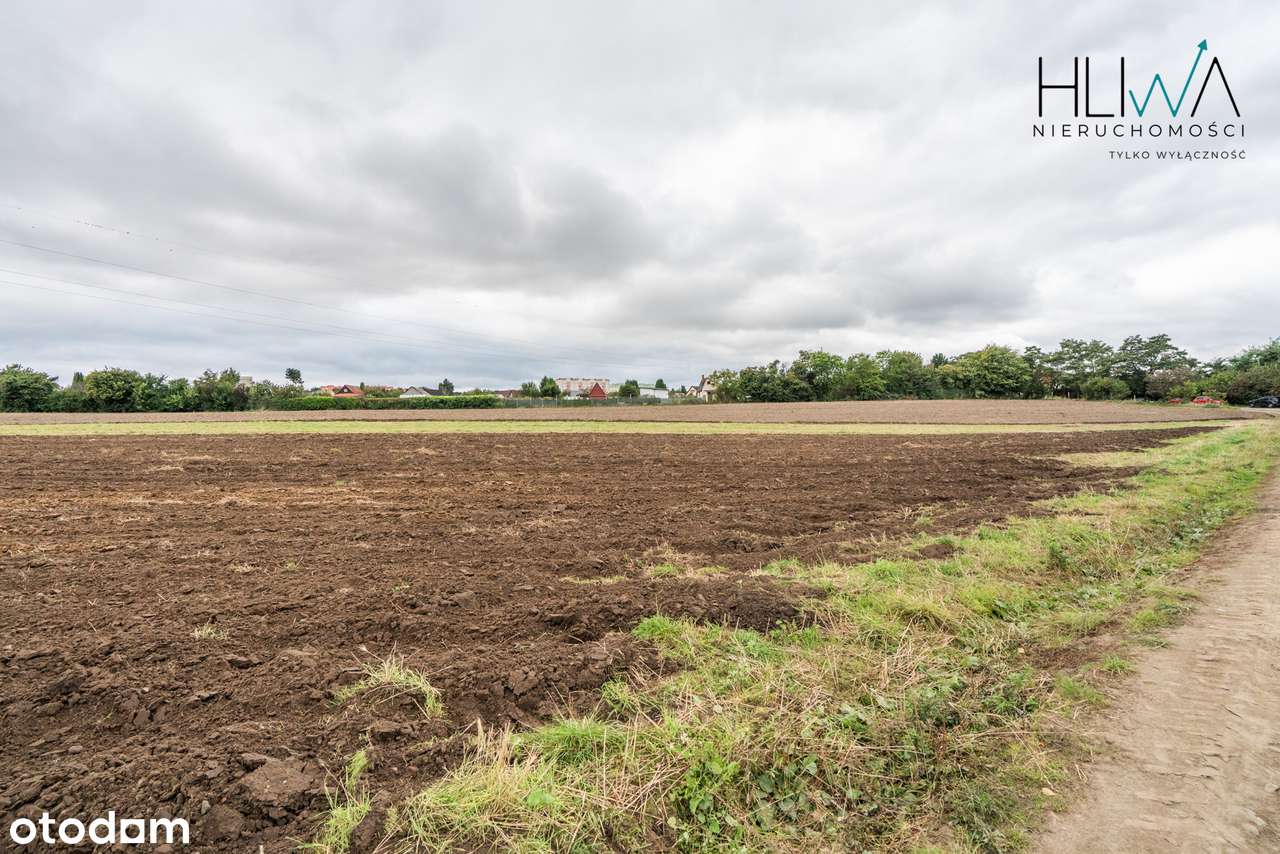 Działki rolne Gdynia Obłuże, powierzchnie od 3003 m2-7