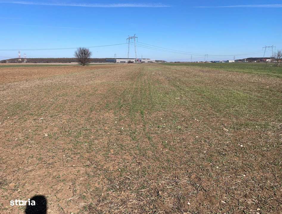 Vanzare | Teren Intravilan 10.759 mp | Str. Viitorului | - Imagine principală: 4/5