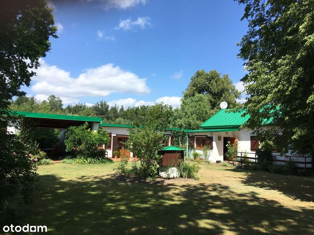 Duża zabudowana działka w Nosach-Poniatkach-11