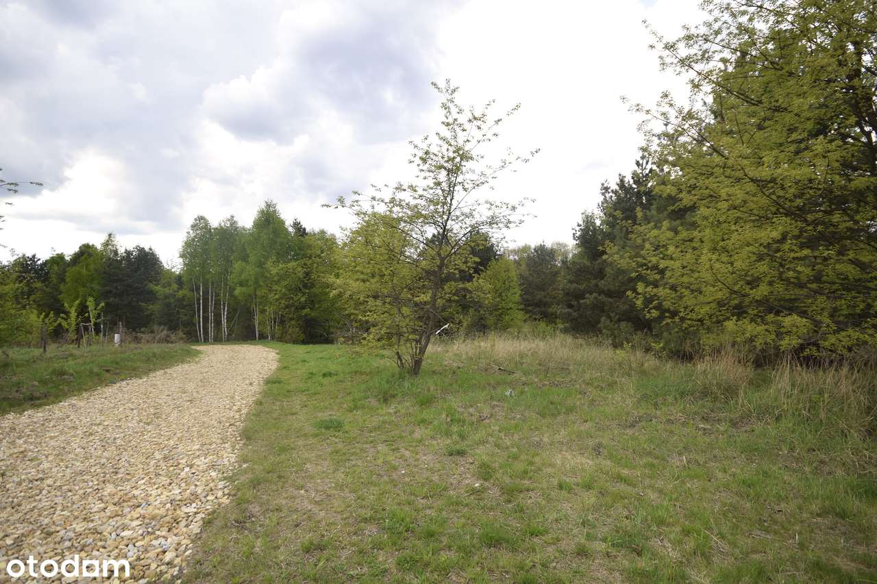 Działka przy ulicy Dubiela – idealne miejsce na Twój wymarzony dom