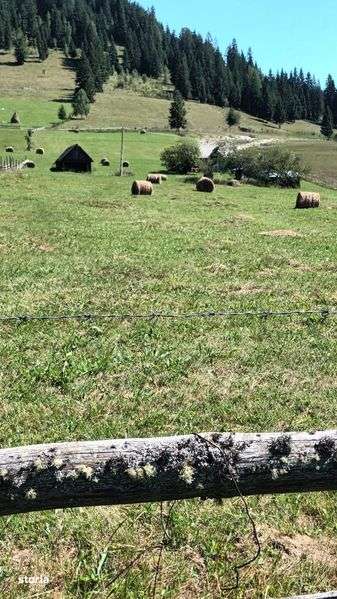 Vanzare  teren intravilan - Imagine principală: 4/5