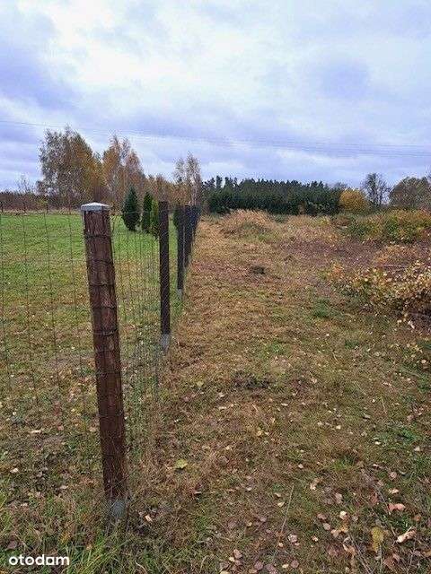 Działka Blisko Jeziora 300M - Pełny obrazek: 2/4