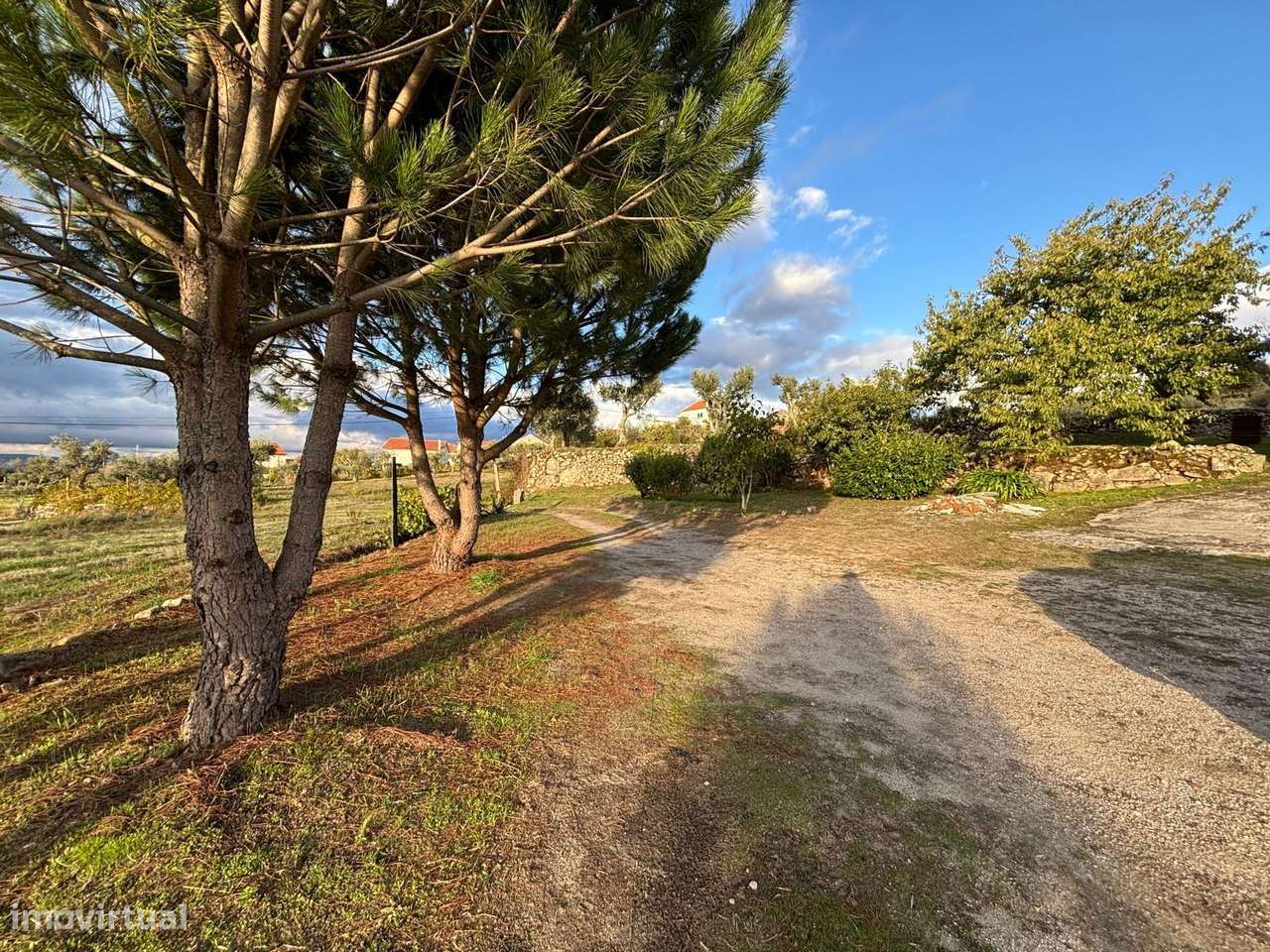 Quinta T3 Venda em Santa Marinha e São Martinho,Seia-17