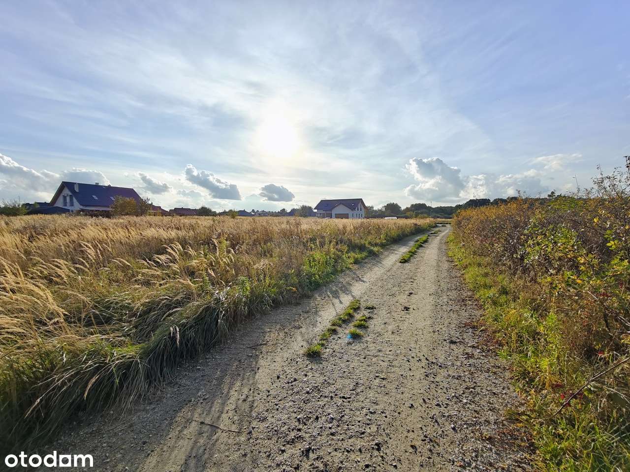 działka budowlana| 10a | MPZP | media | idealna pod budowę domu - Pełny obrazek: 4/7