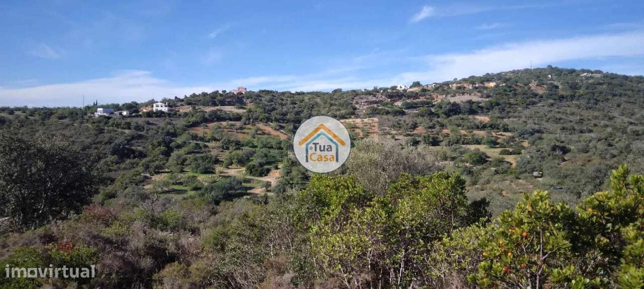 Terreno Rústico com Viabilidade de Construção nos Machados - Grande imagem: 2/26