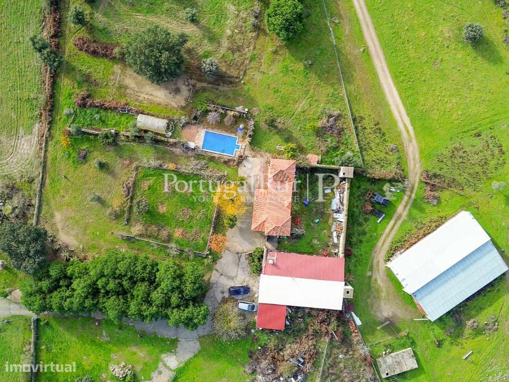 Herdade de 103 ha confinante com o Rio Ocreza em Castelo Branco - Grande imagem: 2/60