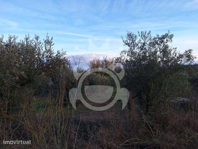 Terreno de 6,1 ha com Ruína-6
