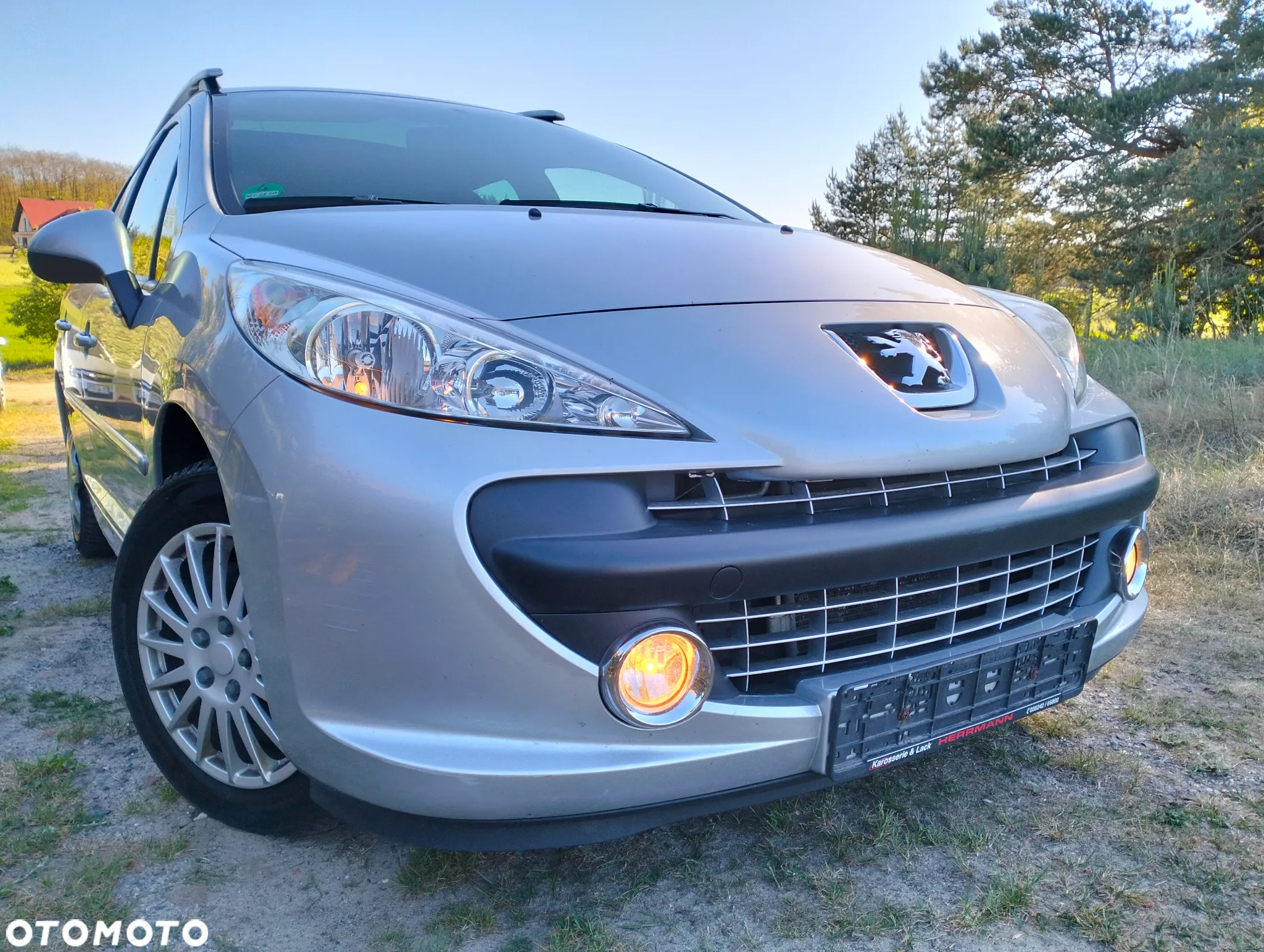 Peugeot 207 - 3