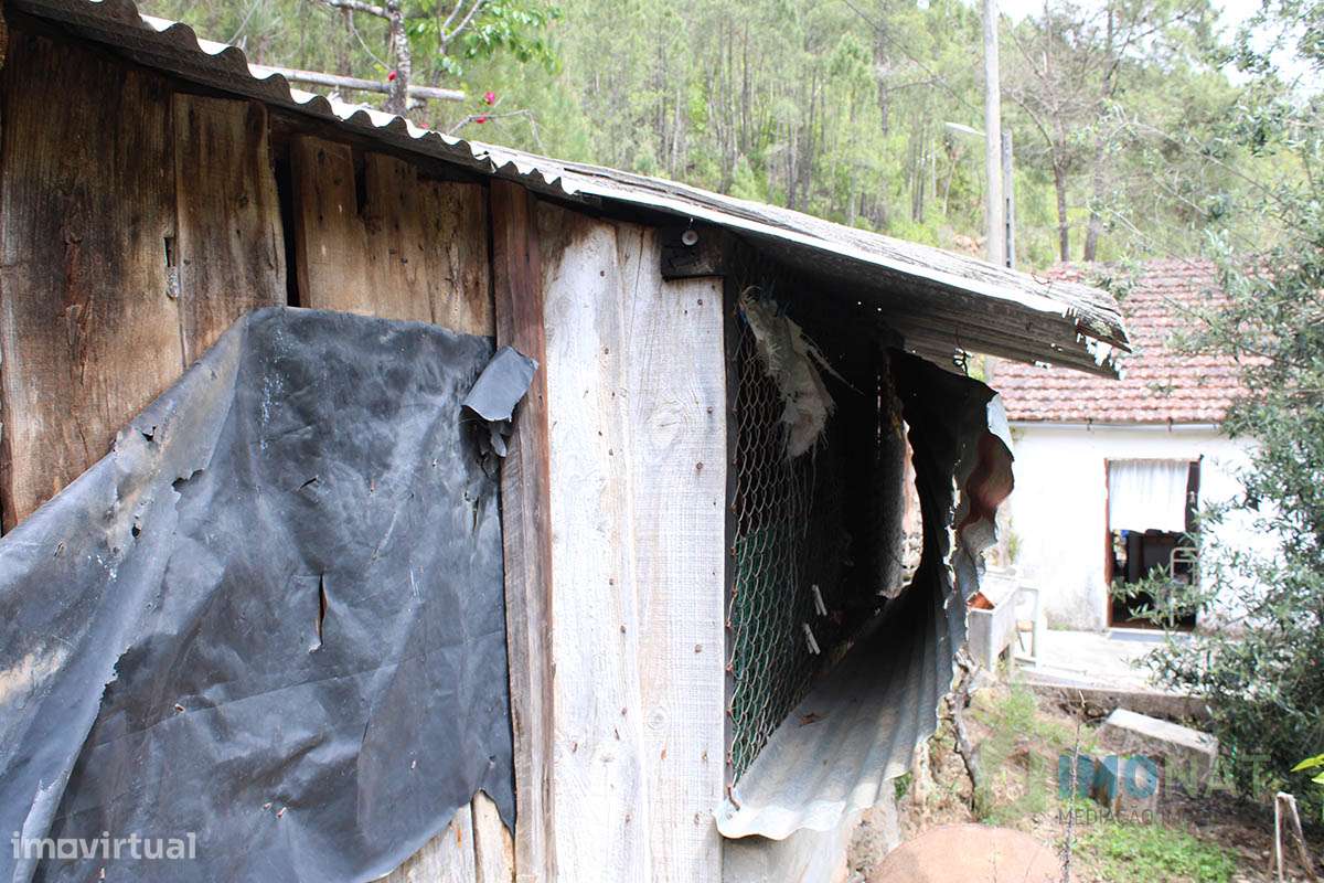 Imóvel Rural-24