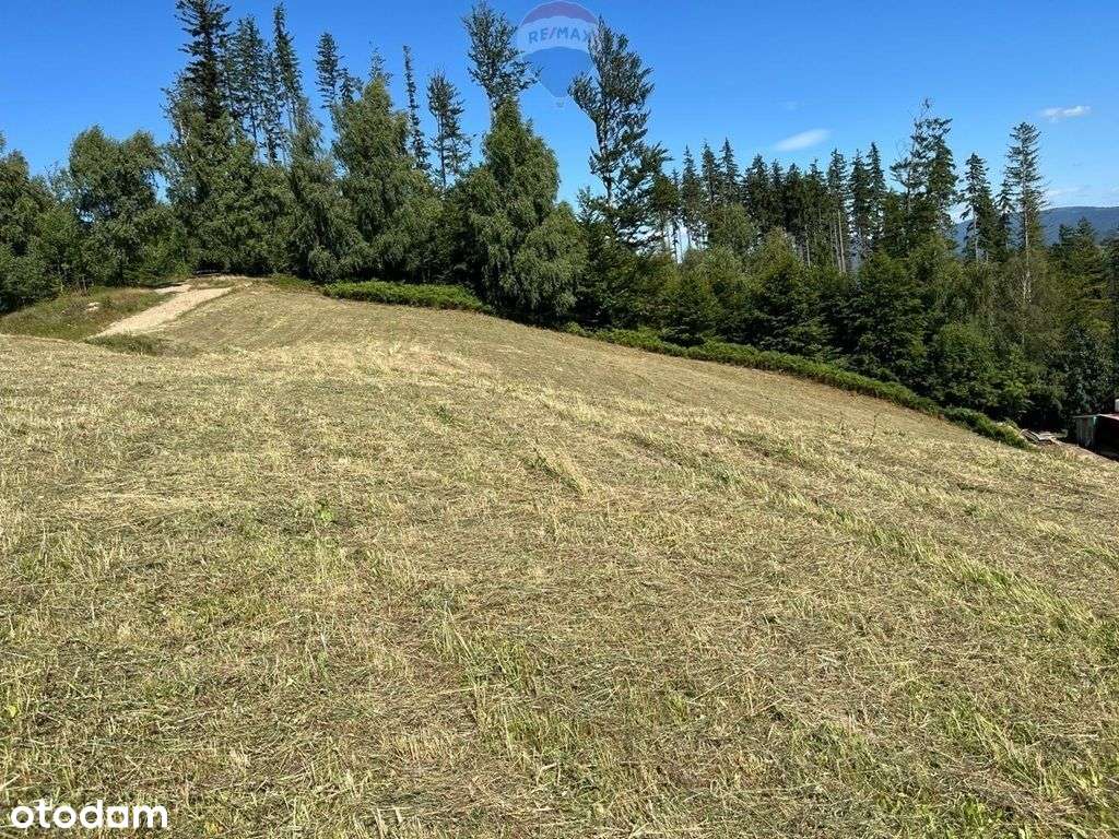 Wisła - Działka w lesie pod Soszowem - Pełny obrazek: 4/7