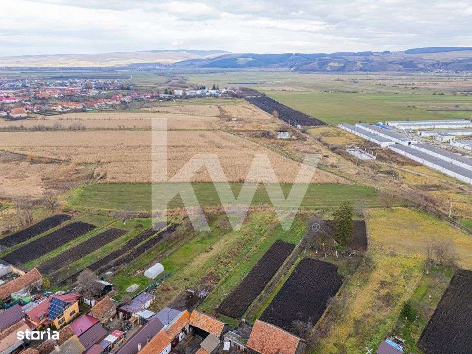 Teren 10000 mp in Extravilan, Bod, Brasov- COMISION 0%-15