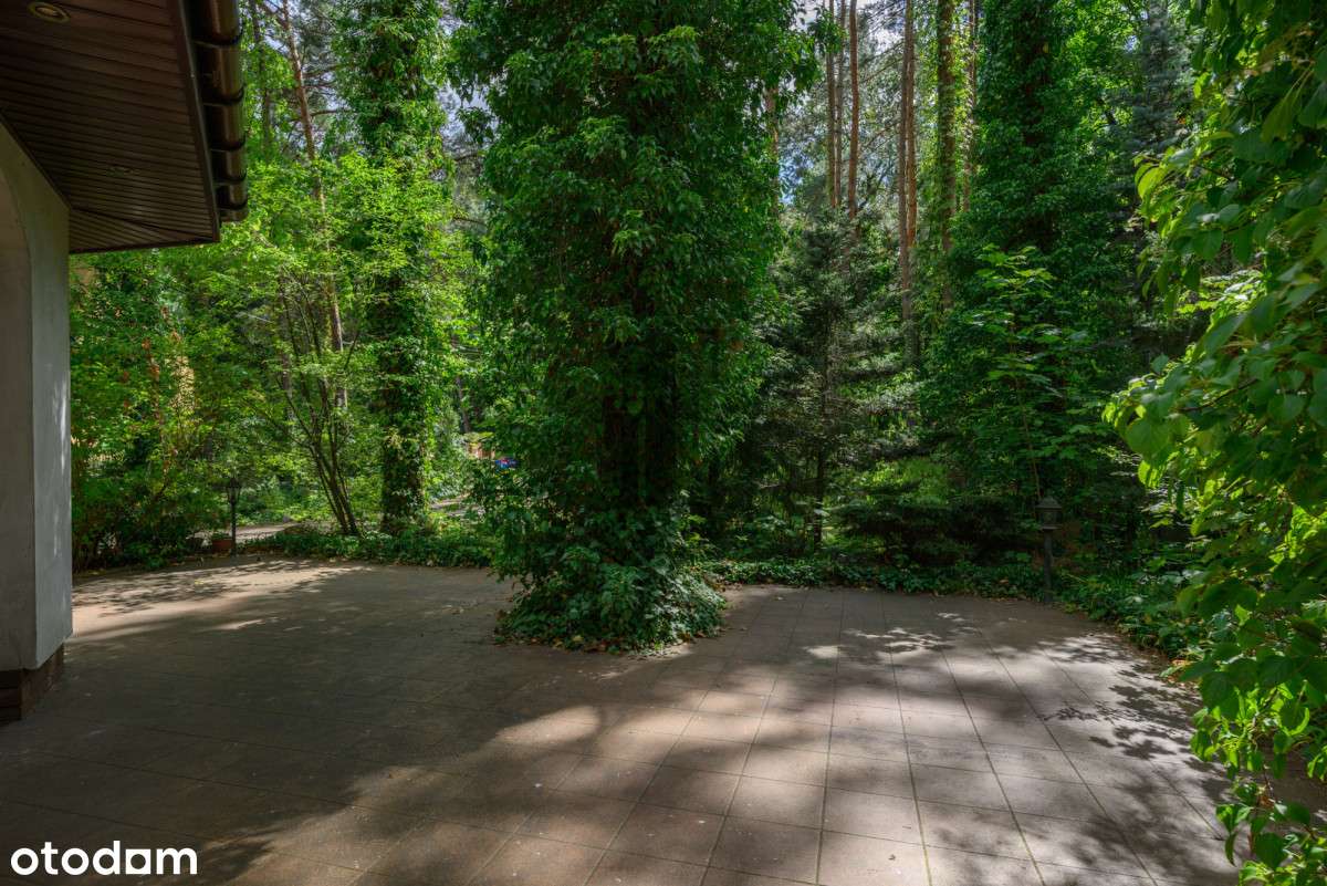 Piękny dom na atrakcyjnej, zadrzewionej działce - Pełny obrazek: 5/19