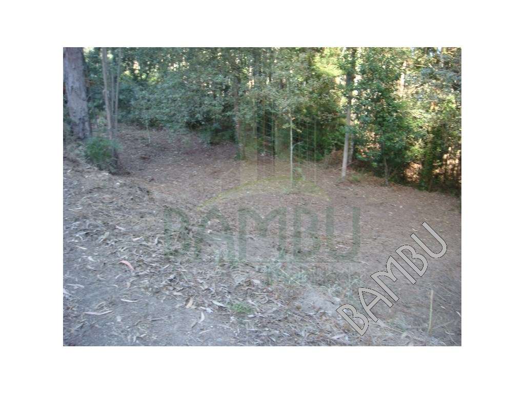 Terreno em Vilar de Mouros - Grande imagem: 5/6