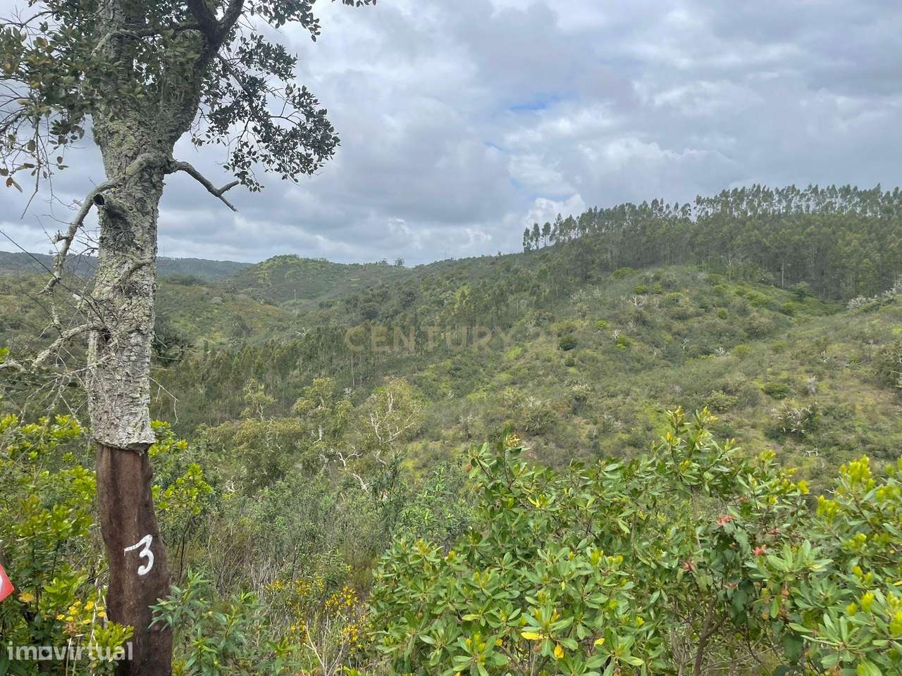 9 Terrenos Rústicos vendidos em conjunto - São Barnabé - Grande imagem: 4/10