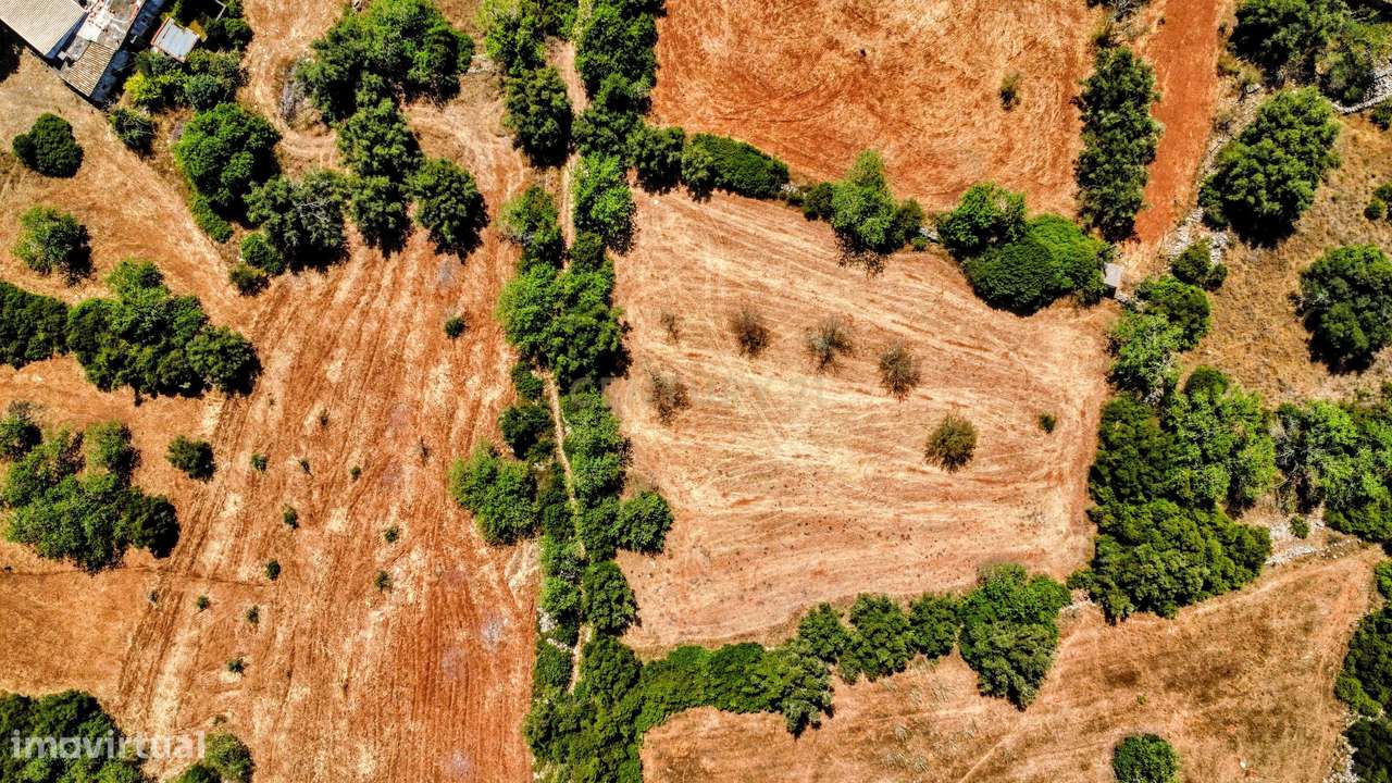 Tranquilidade na natureza - Terreno Rústico para Venda - Grande imagem: 1/36
