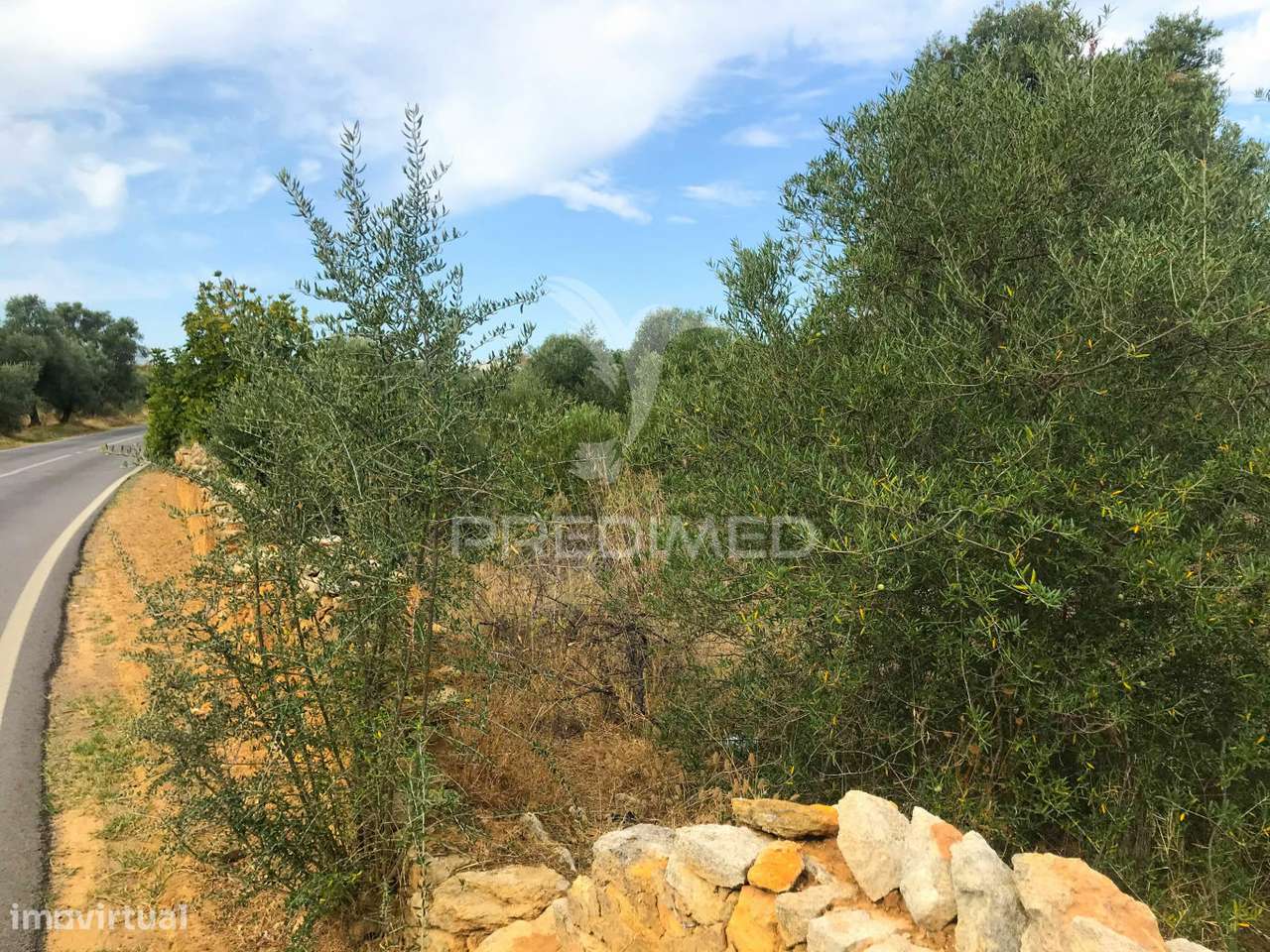 Terreno Rustico Caliços-Olhão - Grande imagem: 4/4