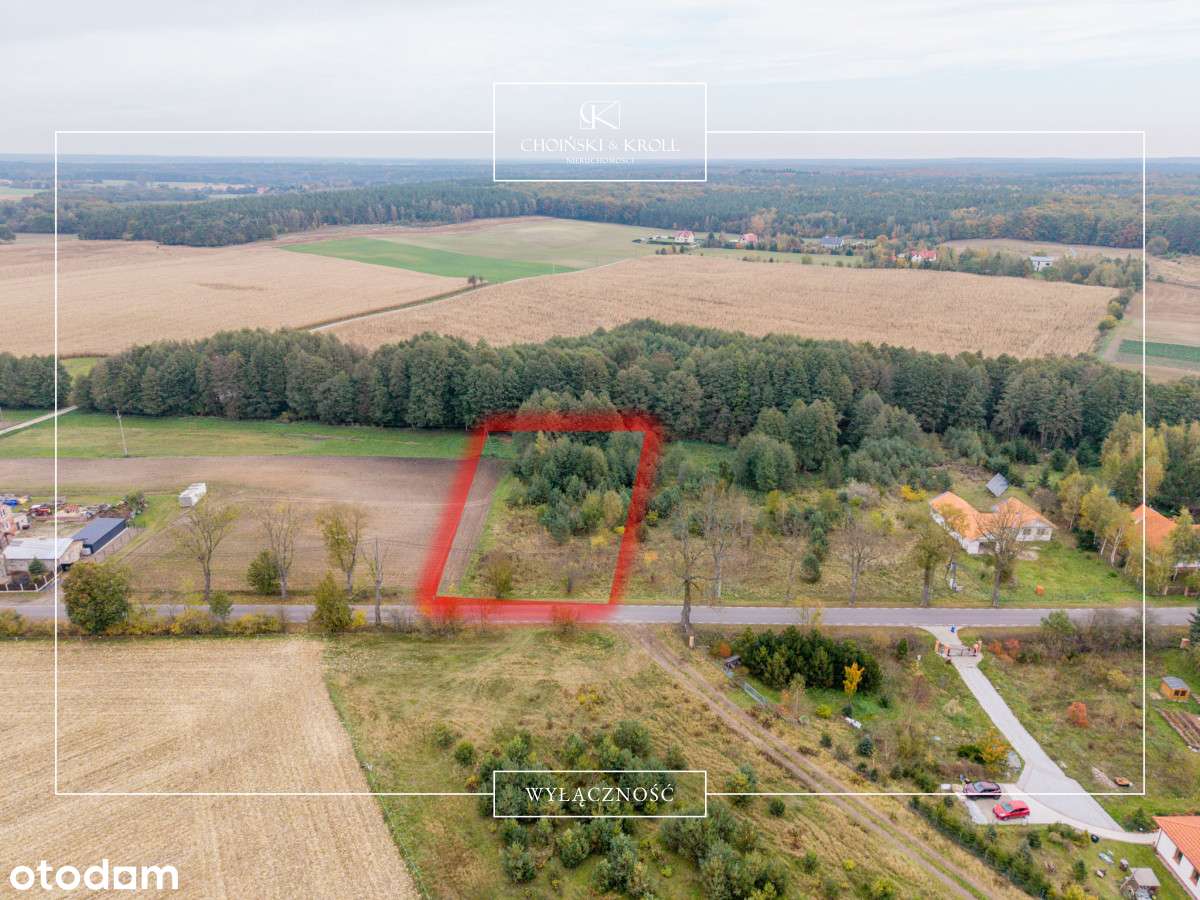 Działka z Mpzp | Puszcza Zielonka | Bez prowizji! - Pełny obrazek: 3/9