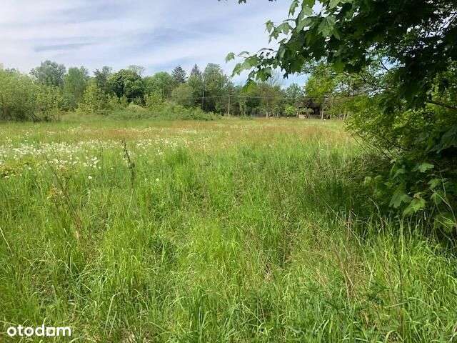 Bronisławów/Dębówka,budow.media,do Pkp-1500m - Pełny obrazek: 5/5