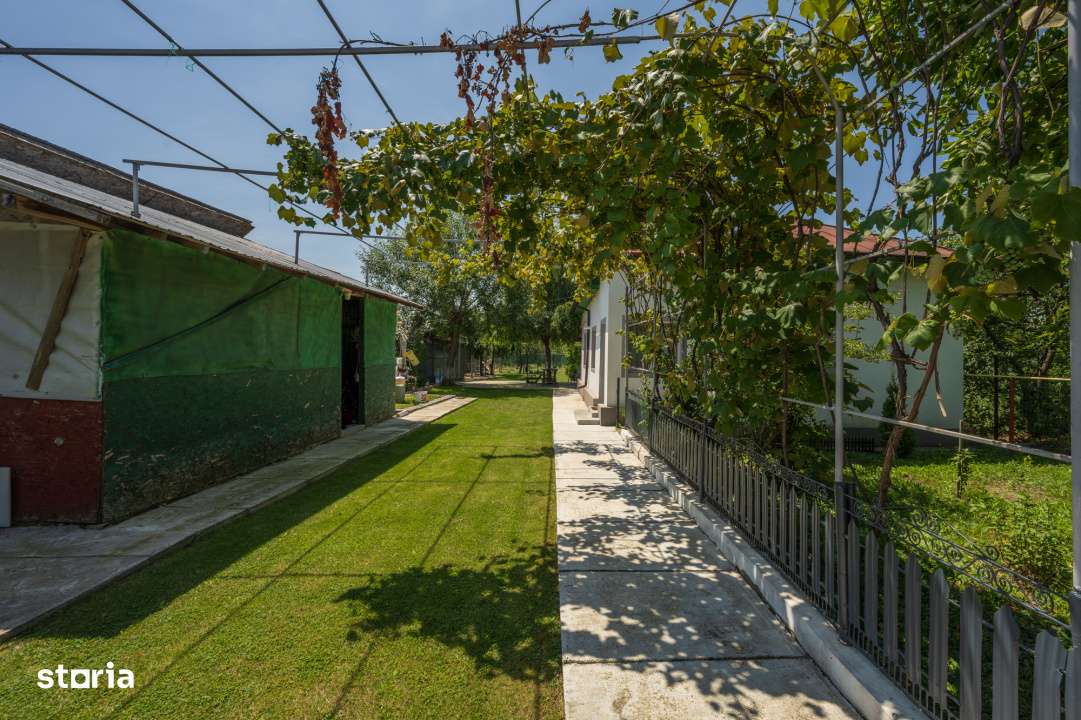 RACARI - DAMBOVITA, CASA PE PARTER 85 MP, LOT 2200 MP!-16