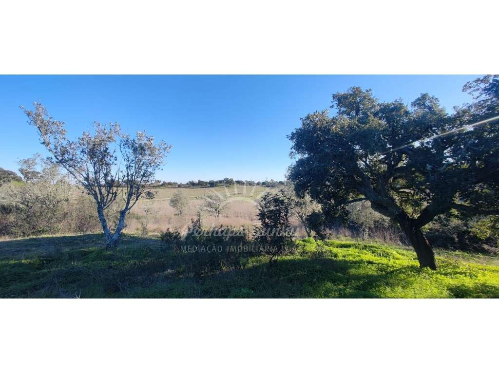 TERRENO RÚSTICO PARA VENDA - UMA OPORTUNIDADE NA SERRA DE GRÂNDOLA-11