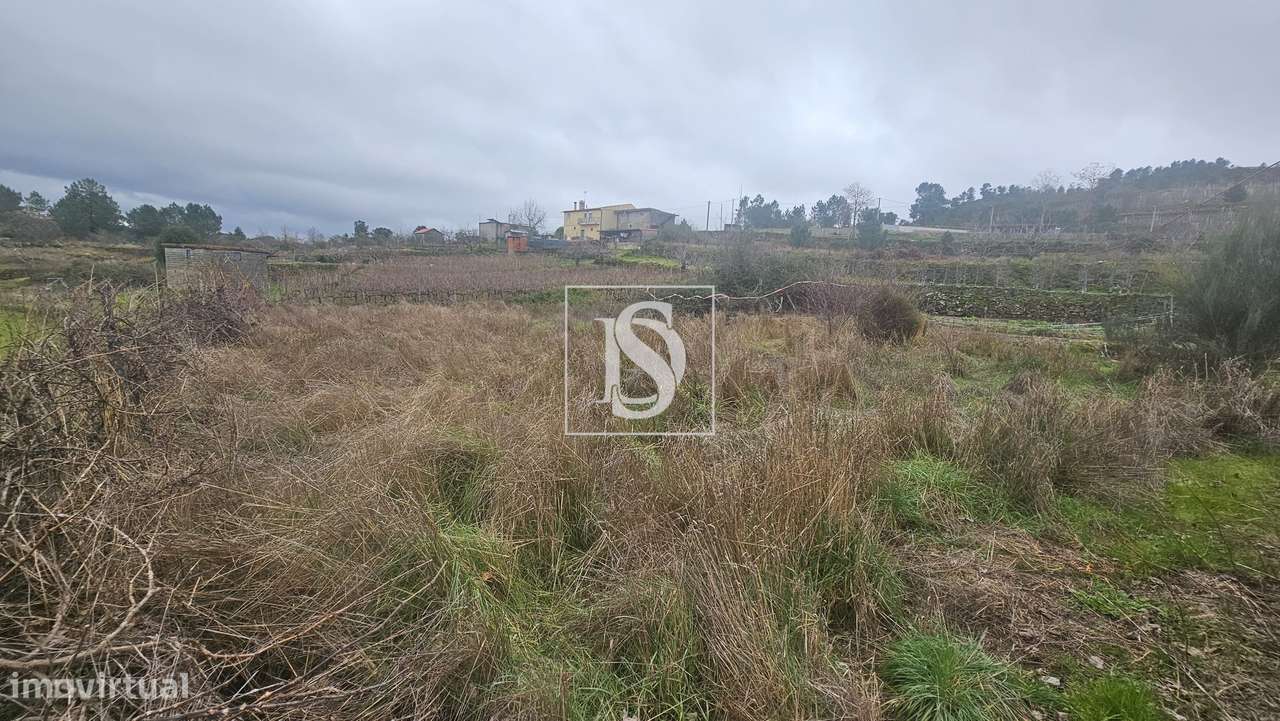 Terrenos Rústicos – Aricera e Goujoim, Armamar (Viseu)-8