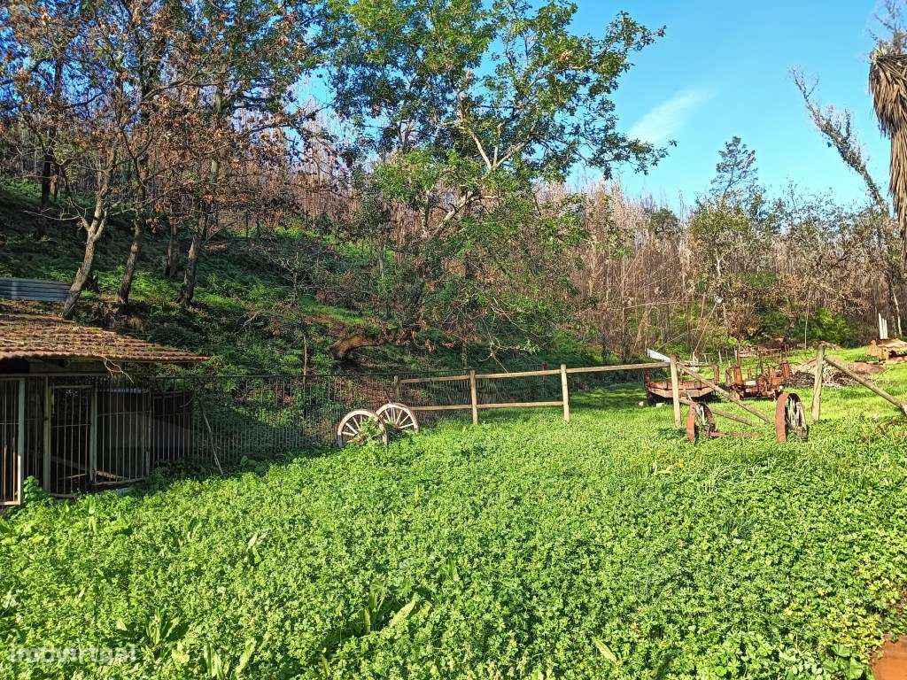 Terreno / Quinta para construção de moradia - Angeja - Grande imagem: 3/21