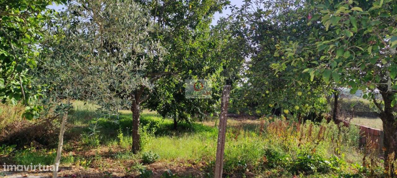 Moradia T3 com anexos e garagem em Nariz - Grande imagem: 3/38