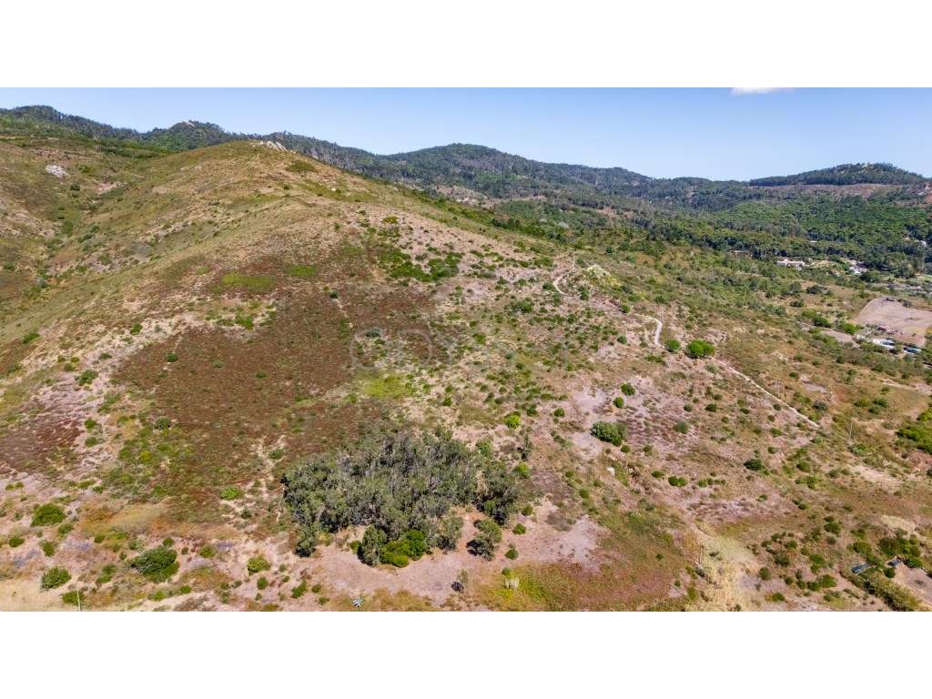 Terreno Rústico à Venda - Fontainhas, Alcabideche (Cascais)-23