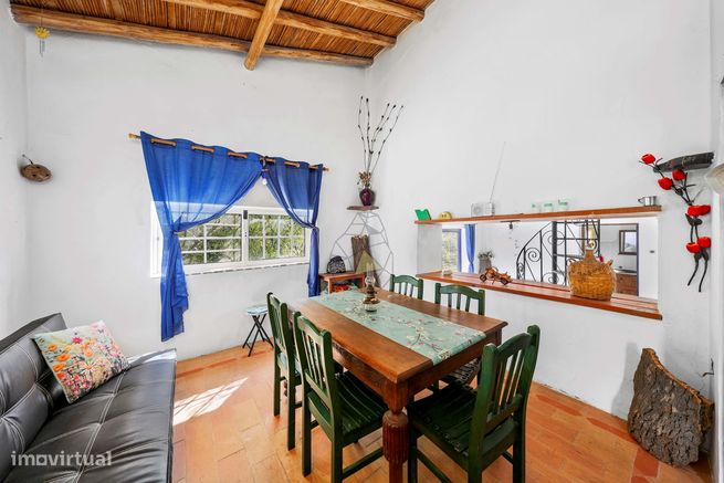 Charmosa Quinta com 4 Hectares à venda na idílica Salto - São Bartolom-7