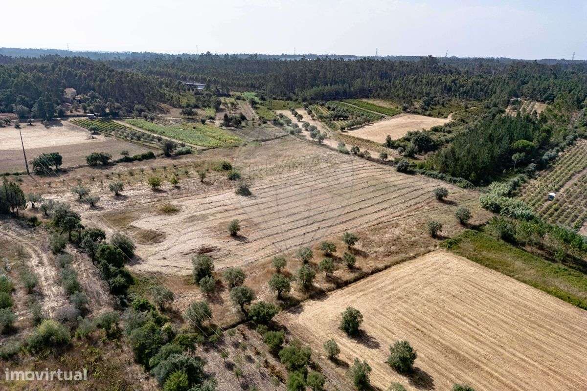 Terreno  para venda - Grande imagem: 3/8