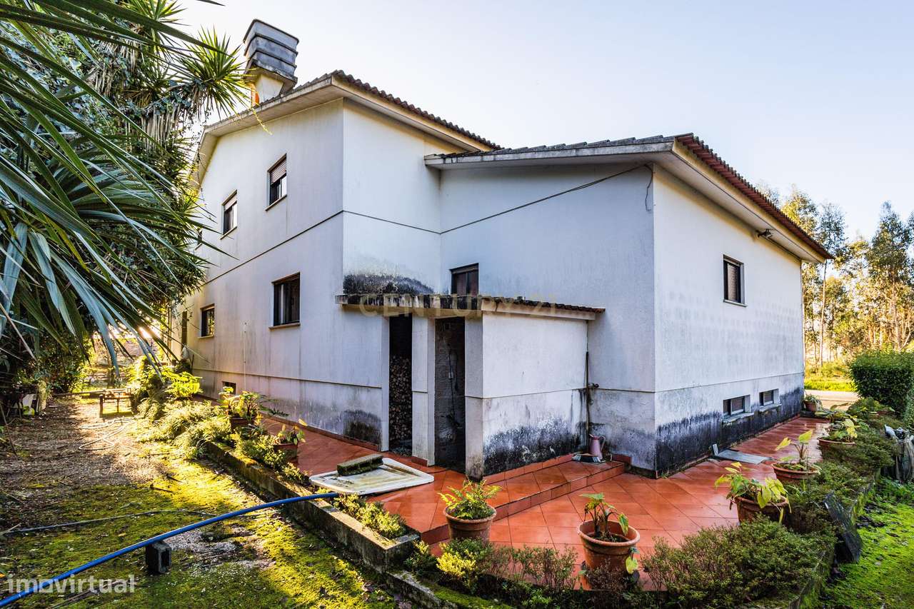 Moradia T3 Isolada - Grande imagem: 4/38