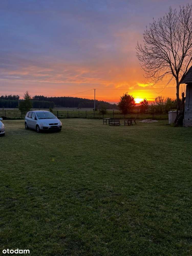 Sprzedam dom/siedlisko - Pełny obrazek: 4/14