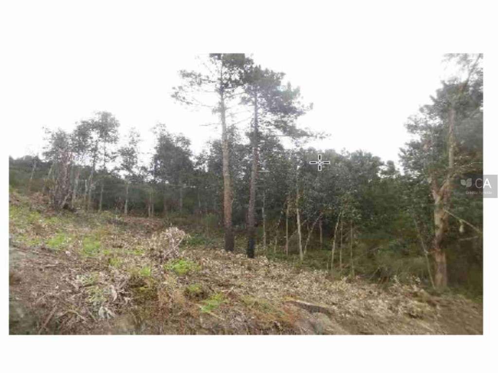 Terreno - Grande imagem: 2/2