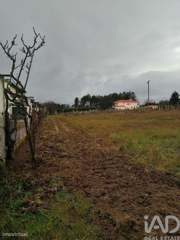 Terreno para construção em Vale de Anta de 9521,00 m2 - Grande imagem: 4/5