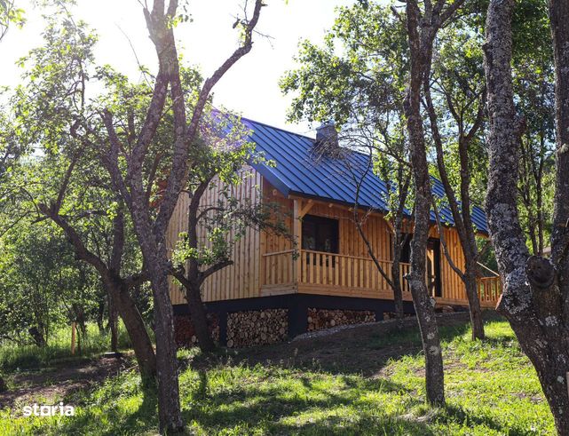 Cabane de vis în Nucșoara, Argeș-10