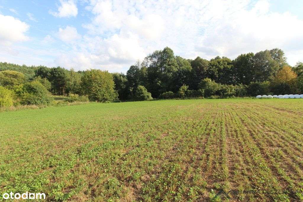 Działa przy jeziorze Łąkorz-7