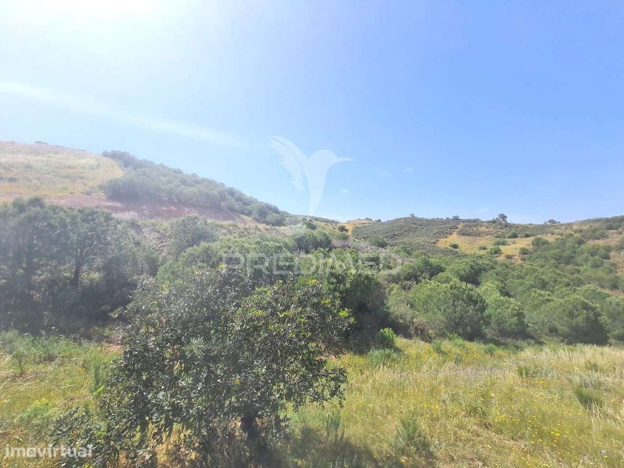 Terreni Rústico - Grande imagem: 3/10