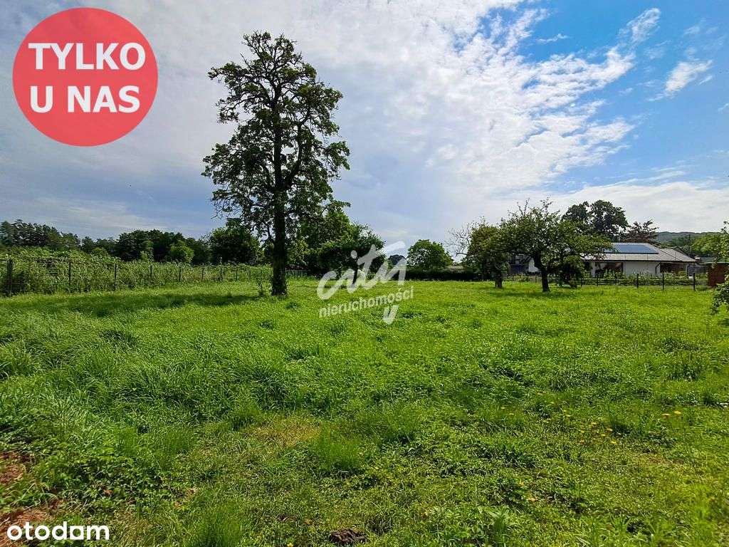 Działka ul. Turkusowa Wapnica - Pełny obrazek: 5/12