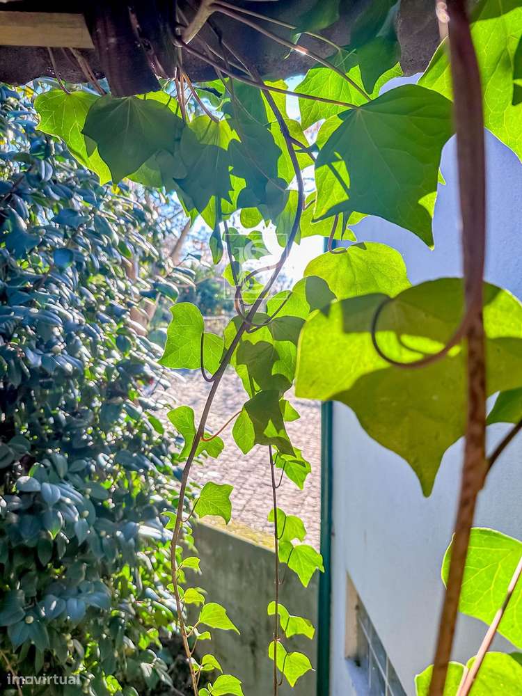 Moradia para Restauro com Terreno - Cepelos Amarante-21