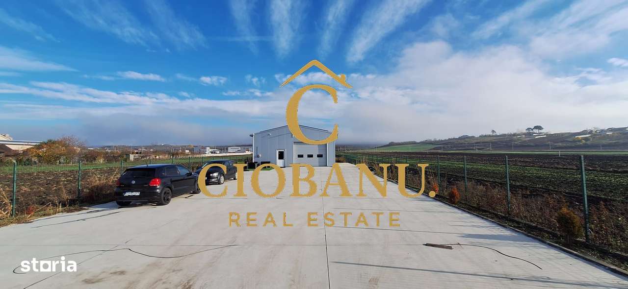 Hala de vanzare in Racarii de Jos-16