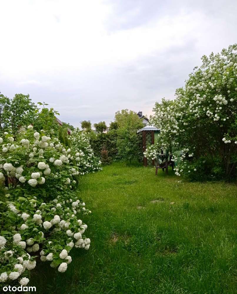 Poznań Szczepankowo - dom z ogrodem-1