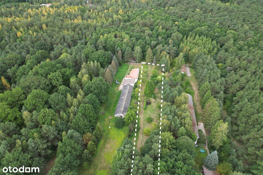 Działka budowlana Cerekiew, ul.Cisowa,obok Radomia - Pełny obrazek: 5/6