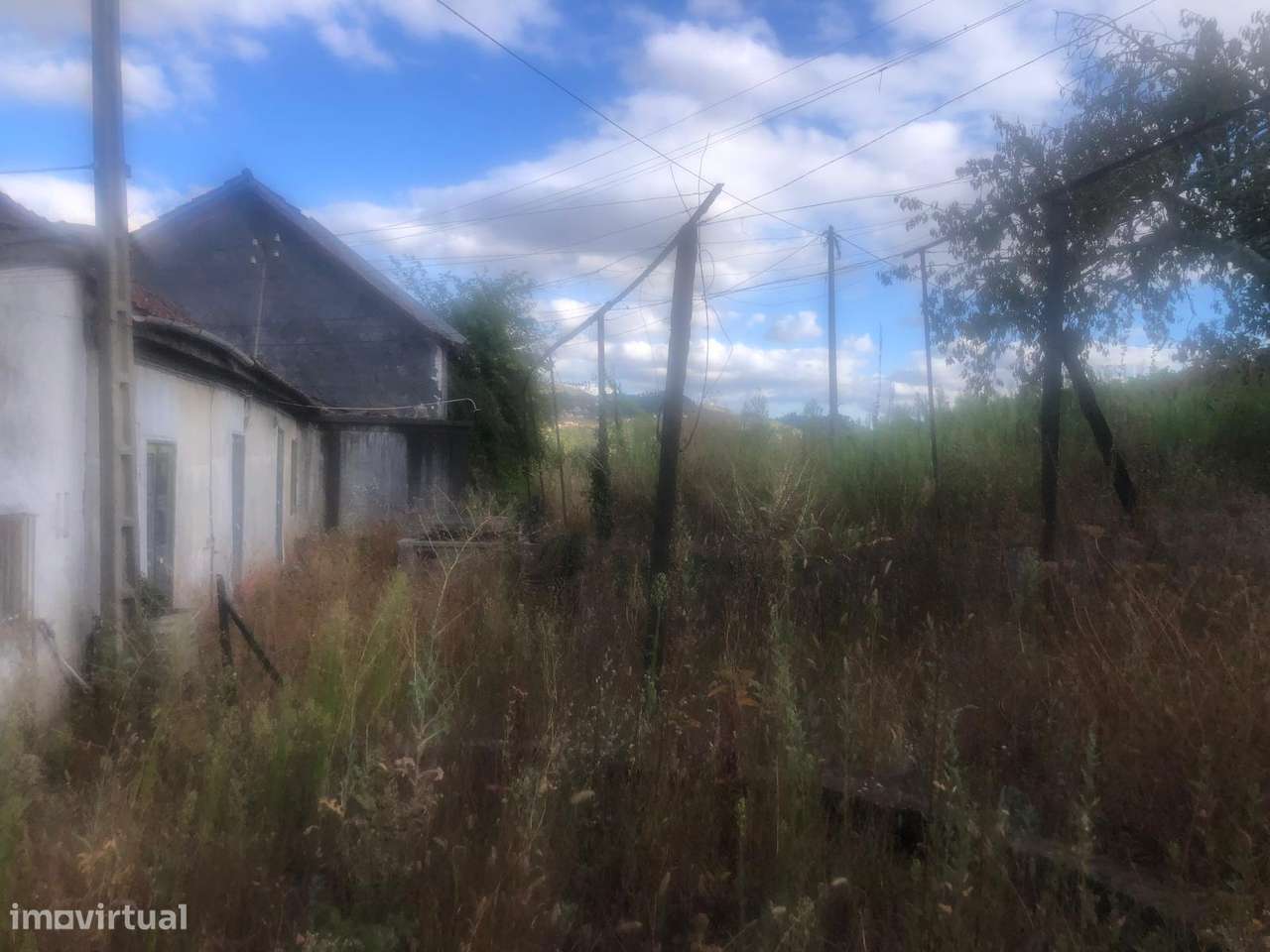 Casa de campo - 6 km do Rio Douro - Régua-14