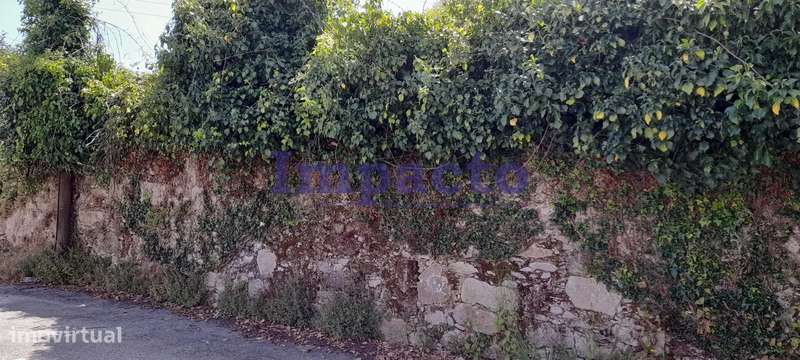 Terreno em Vila de Cucujães, Oliveira de Azeméis - Grande imagem: 4/5