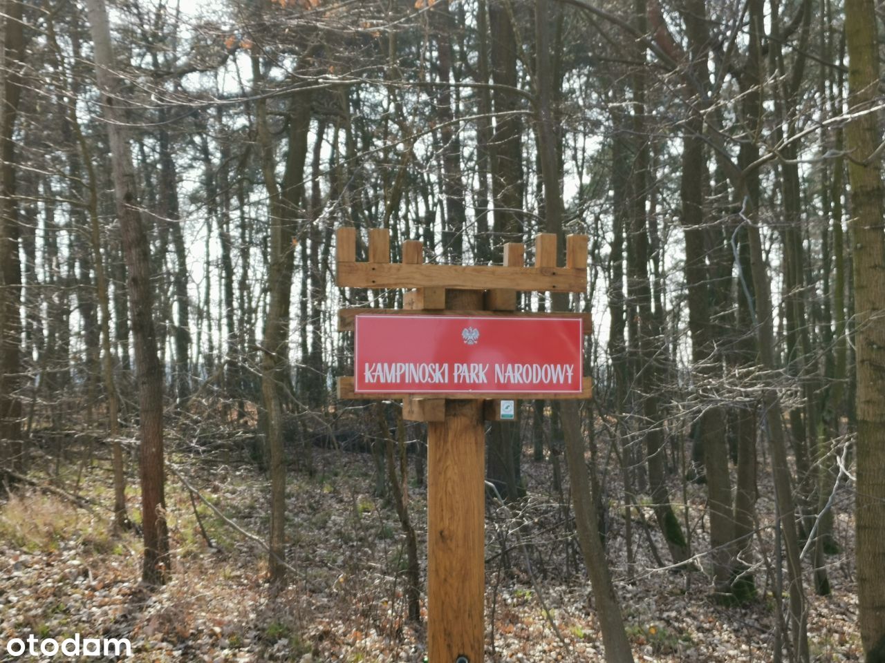 BEZPOŚREDNIO piękne 9 działek budowlanych Łazy