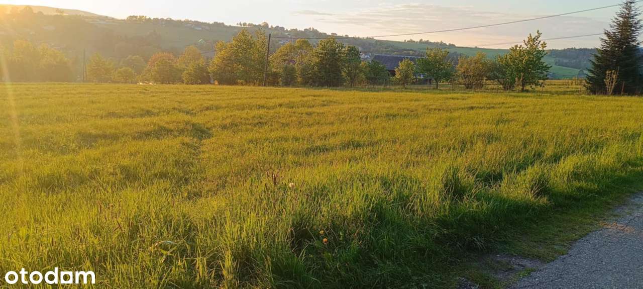 Na sprzedaż: 4 działki budowlane z widokiem na góry – po 8 arów każda - Pełny obrazek: 4/6