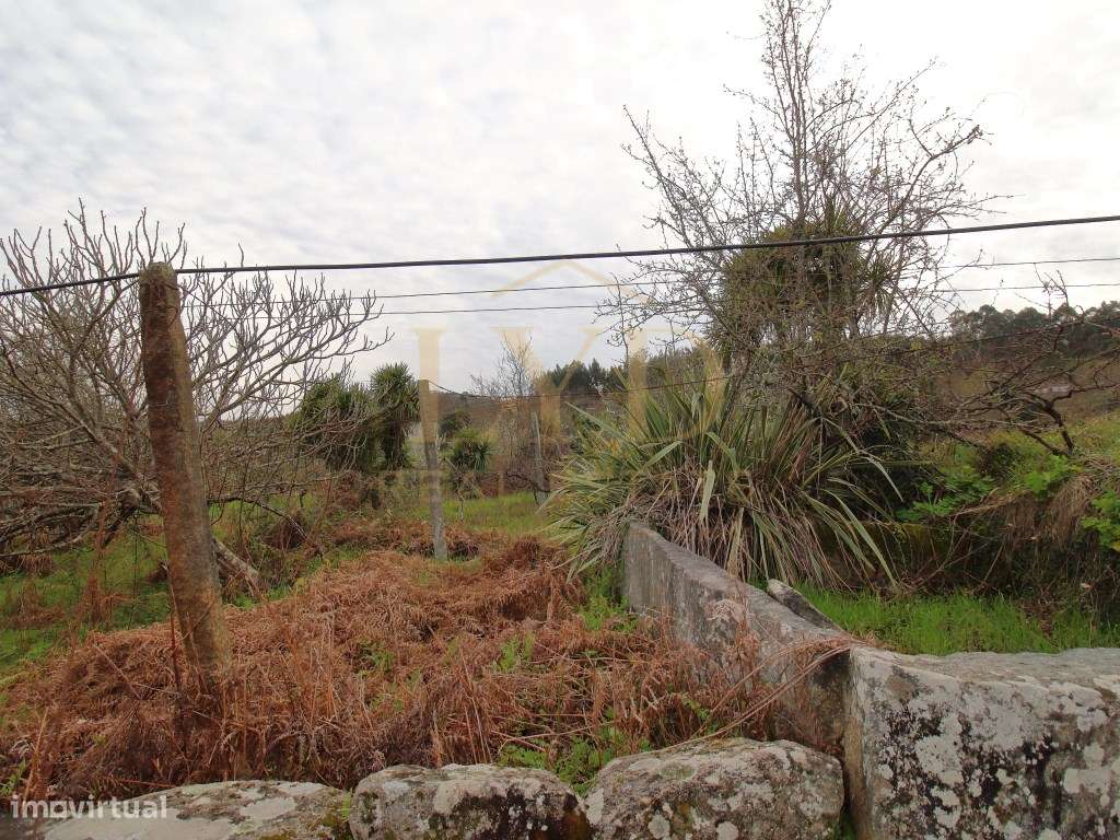 Quintinha para recuperar em Luzim Penafiel-11