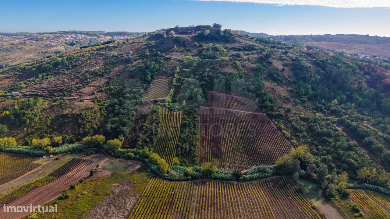 Moradia T2 com Terreno-43