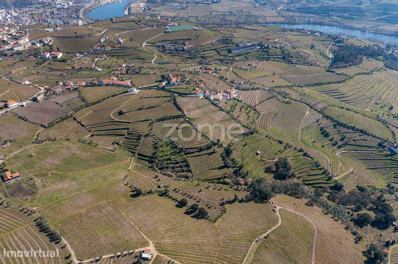 Quinta na Régua para produção vinícola - Grande imagem: 4/20