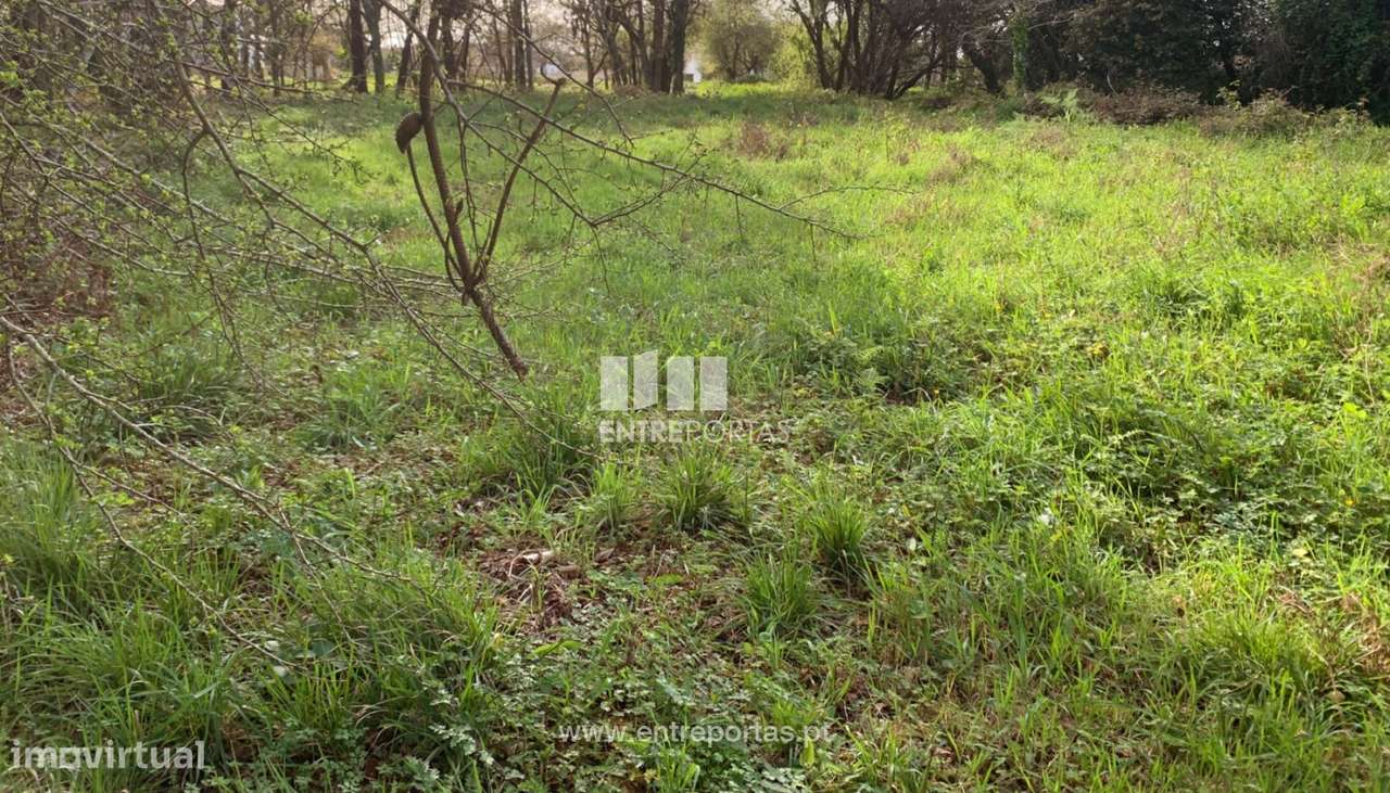 Venda de Terreno de construção, Afife, Viana do Castelo. - Grande imagem: 5/26